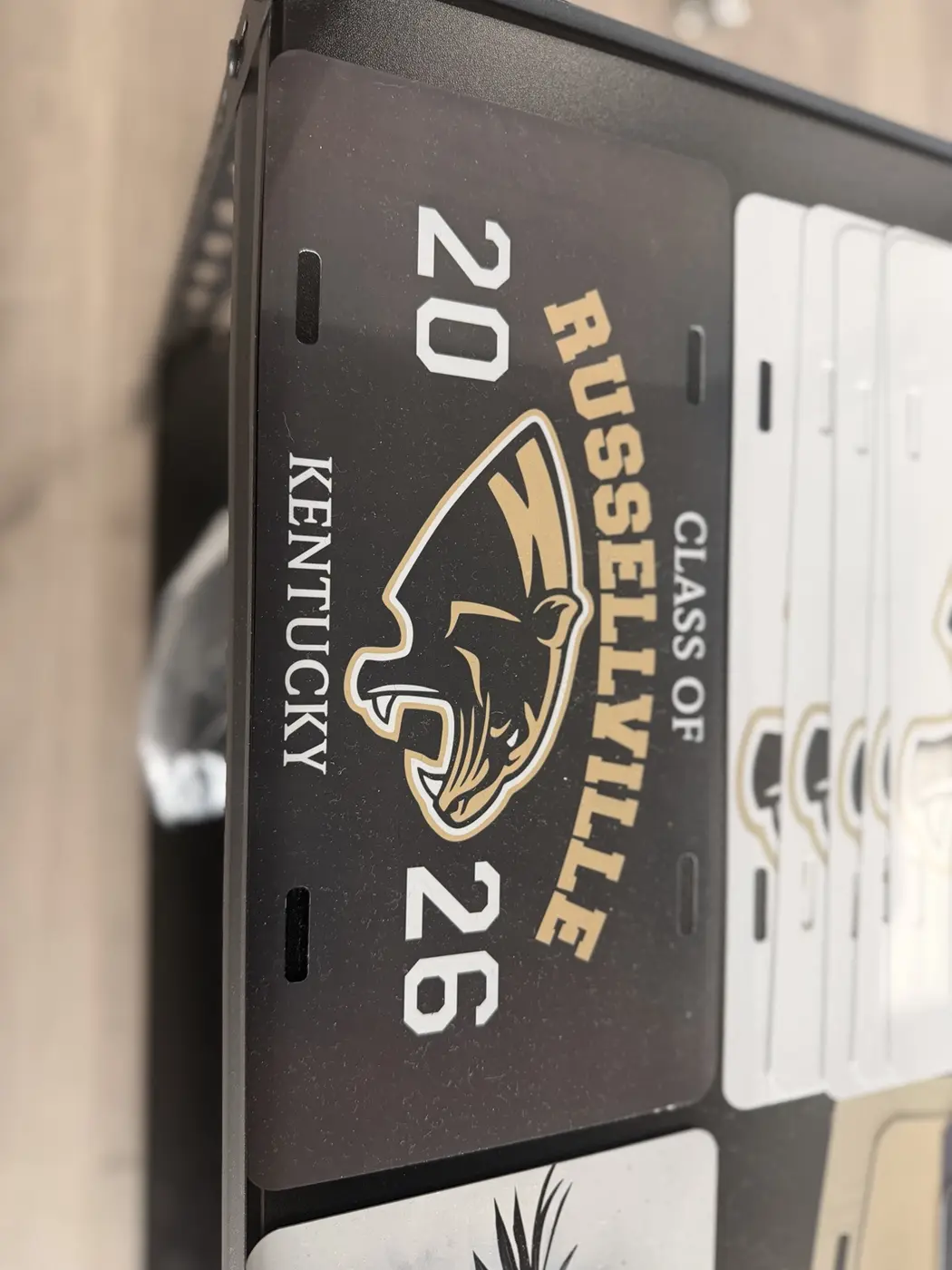 Custom senior license plate